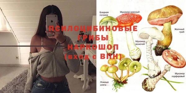 индика Магадан