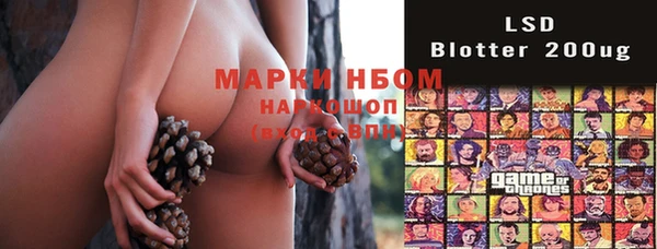 индика Магадан