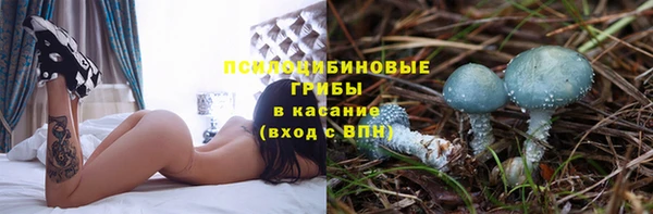 индика Магадан
