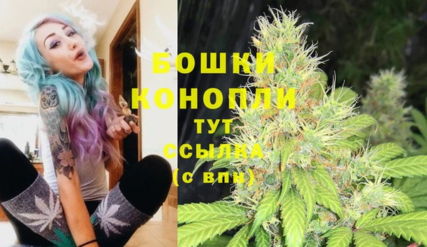 индика Магадан