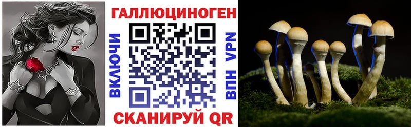 Галлюциногенные грибы прущие грибы  Шиханы 