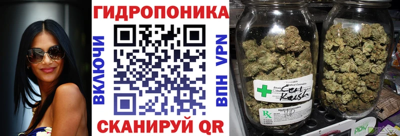где можно купить   Шиханы  Шишки марихуана THC 21% 